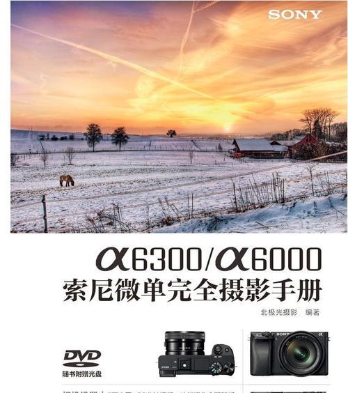 索尼相机逆光视频参数如何调整？调整参数的技巧有哪些？