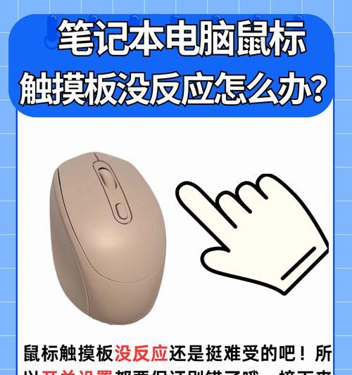 没有操作系统电脑能用吗？原因是什么？