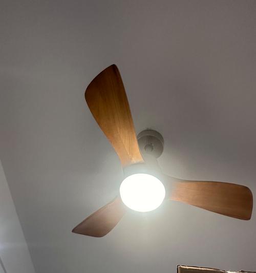 带灯口电风扇的正确名称是什么？