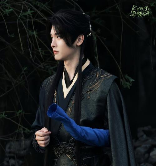 王以纶参与过的电视节目有哪些？他在哪些节目中表现突出？