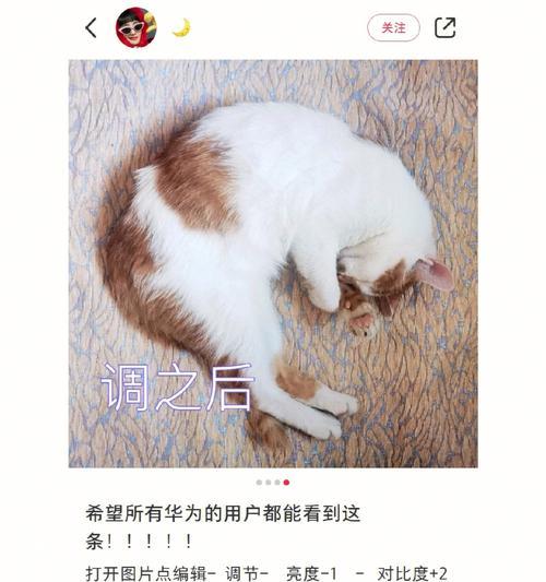 如何用华为手机拍聚焦？聚焦拍摄有哪些技巧？