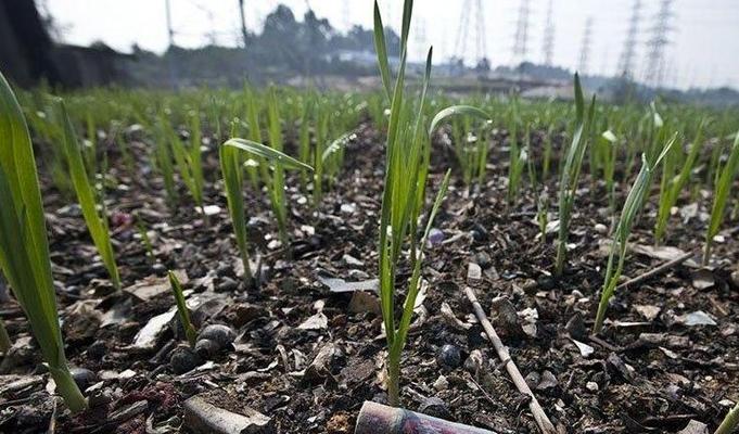 电池衰退为何无法逆转？