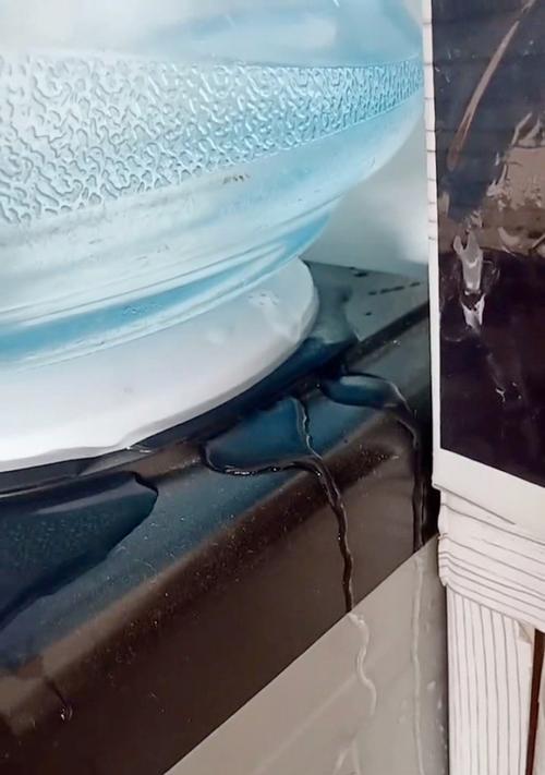 解决饮水机水管漏水的实用方法（保持饮水机功能完好的关键诀窍）