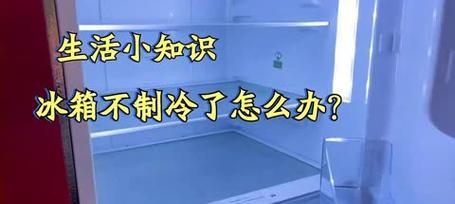 冰箱底层不制冷的常见问题与解决方法（解决冰箱底层不制冷的有效措施及维修技巧）