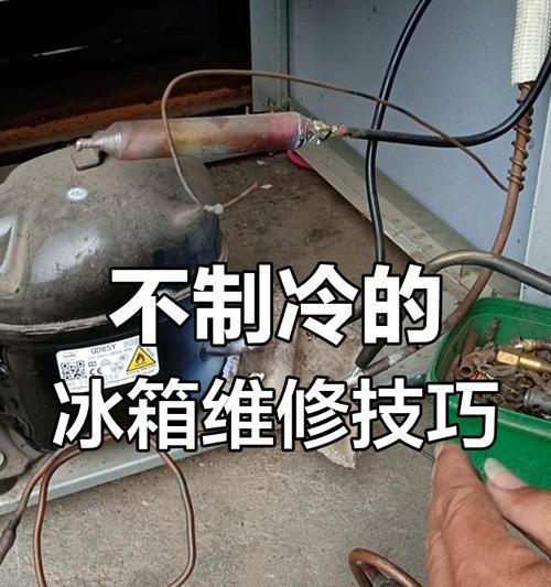 冰柜简单维修方法（快速解决常见冰柜问题的技巧与建议）