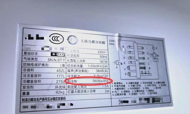 冰箱雪种泄露的原因及解决方案（保持冷链环节健康）