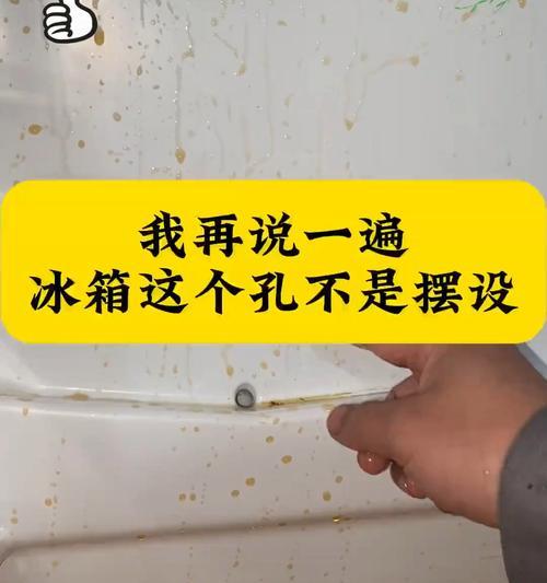 如何正确清洗冰箱下水孔（轻松解决冰箱下水孔清洗问题）